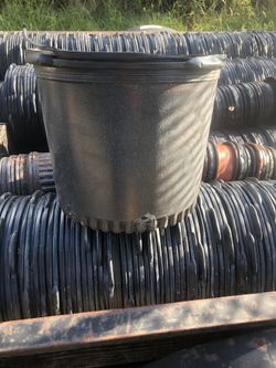 7 gallon pots