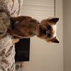 Amy