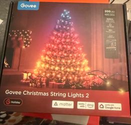 Govee light- Christmas