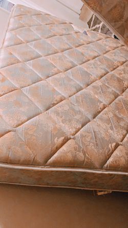 Queen Bed Seally Plush Free !!