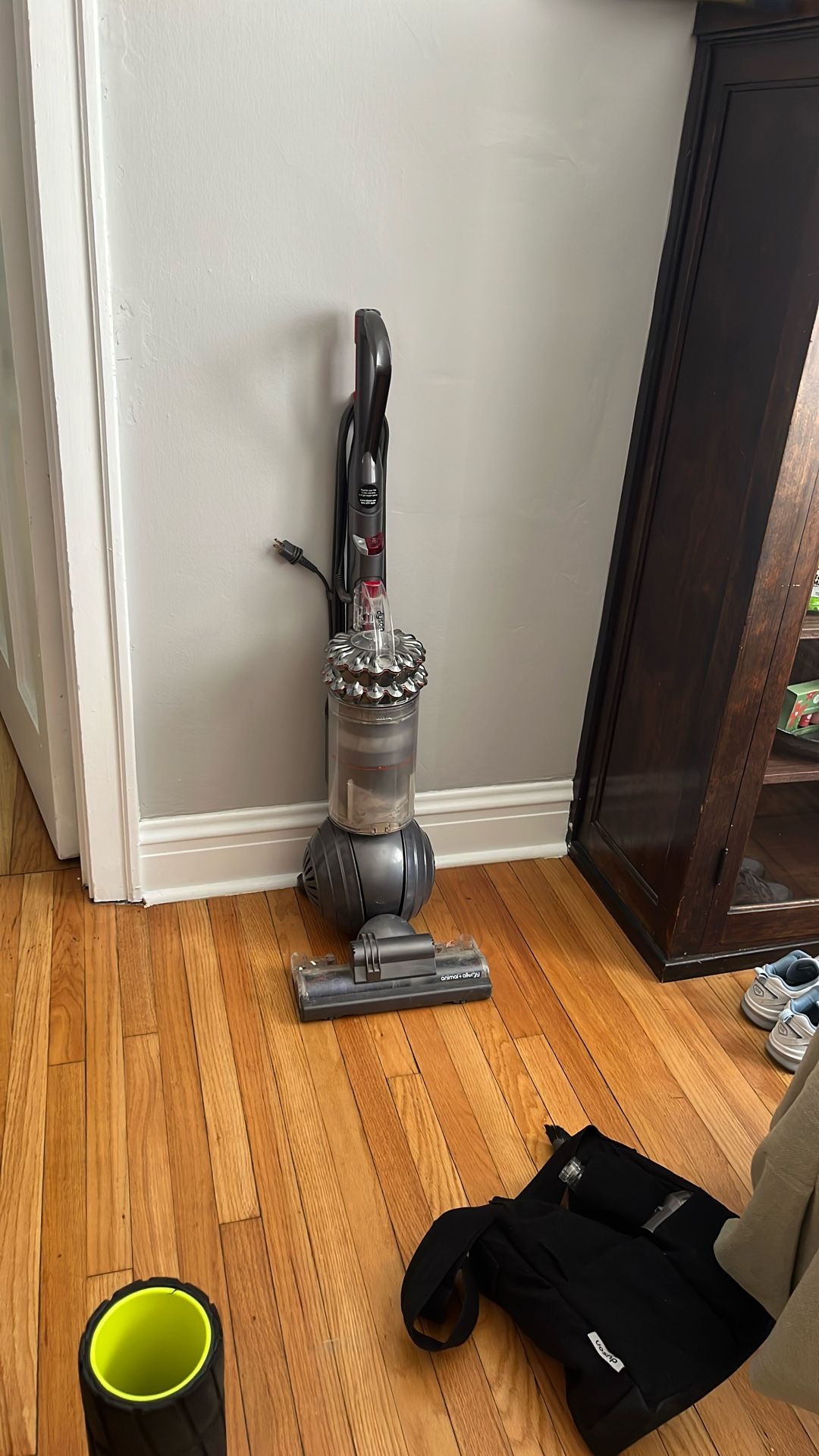Dyson Animal + Allergy Corded Vacuum
