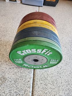 Rogue Bumper Weight Plates