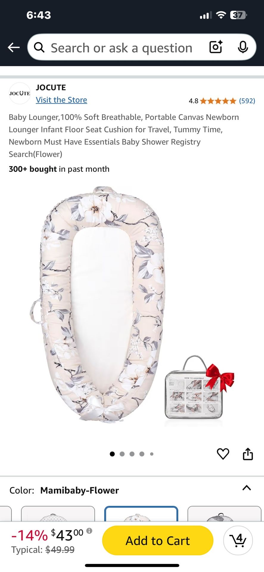 Baby Lounger