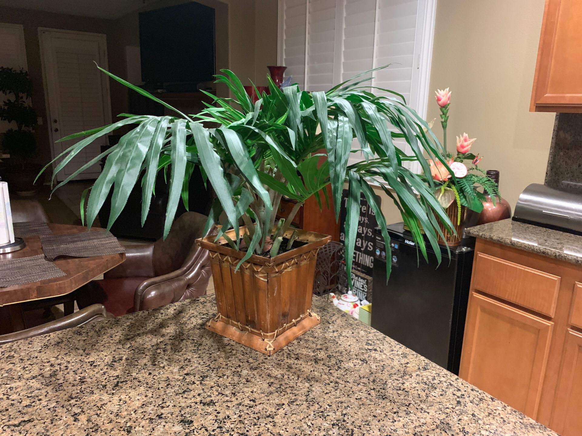 Home decor palm tree Plant