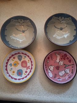 Cat food dishes