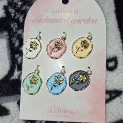 Brand New Charms Never Used Very Pretty