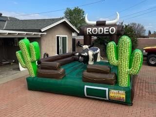 For Sale *Rodeo*bull