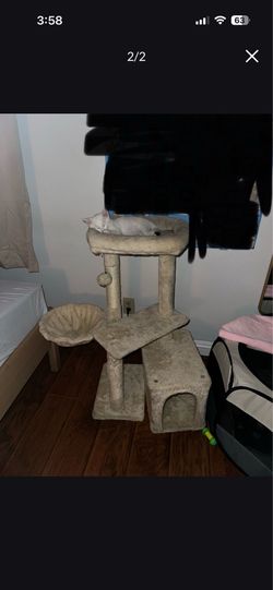 CAT TOWER