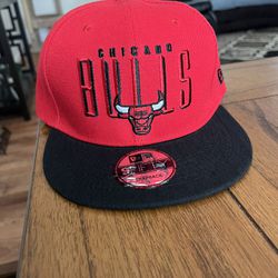 Chicago Bulls Snap Back 