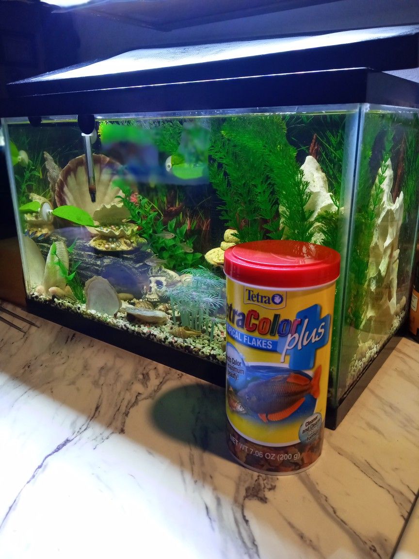 Fish Aquarium And All Accessories Included