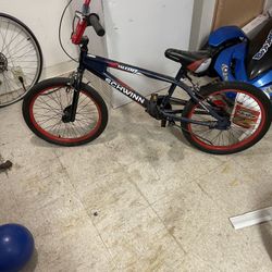 Schwinn Dirt Bike