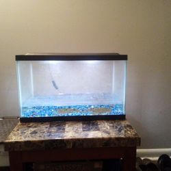10 Gallon Fish Tank With Hood And Light