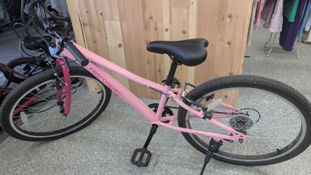 Retrospec girls bike