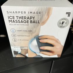 Sharper Image Ice Therapy Massage Ball