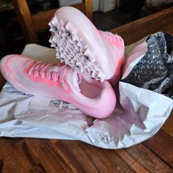 Track Shoe 