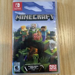 Minecraft for Nintendo switch