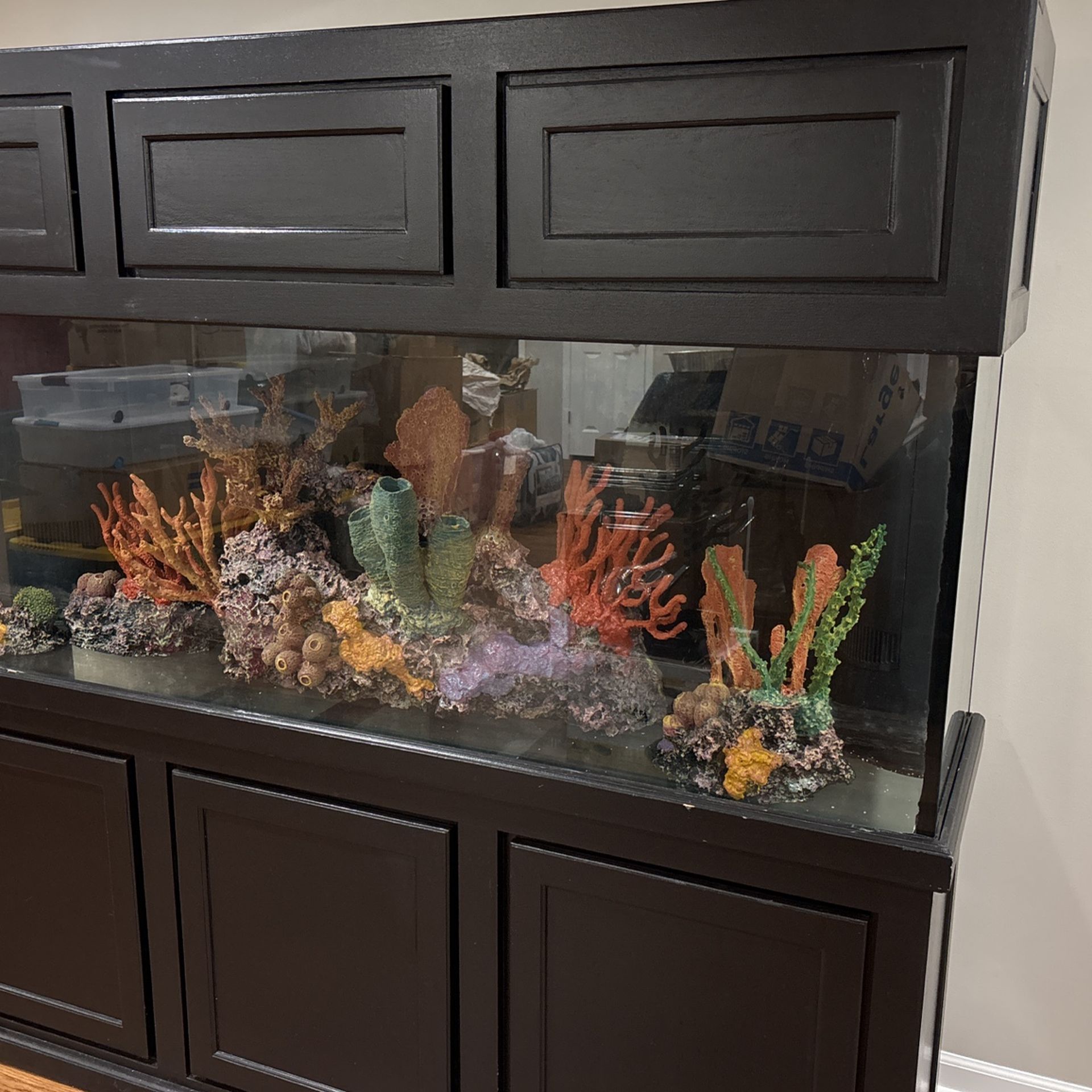 Fish Tank