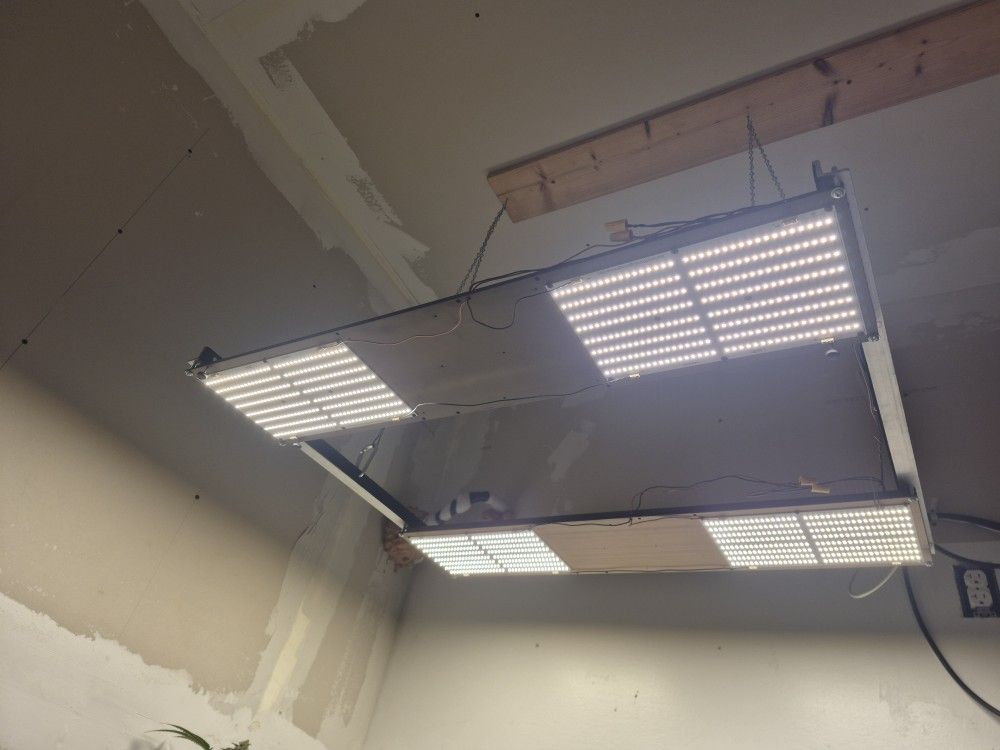 HLG Grow Light