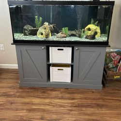 75 Gallon Fish Tank/Aquarium FULL SETUP!