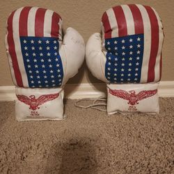 Gently Used REX 16oz Boxing Gloves