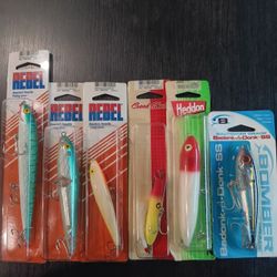 Topwater Lures 