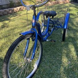 Schwinn  Meridian Trike.  