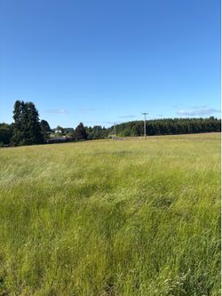 Weed free grass hay