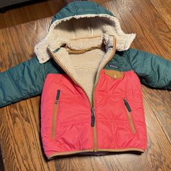 Patagonia Reversible Fleece Lined Puffy Jackets- Size 5T
