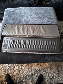 ROLI Seaboard 49-Key — Rare Expressive Keyboard Controller (Excellent Condition)