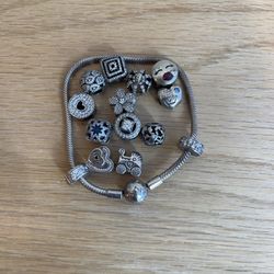 Pandora Charms 