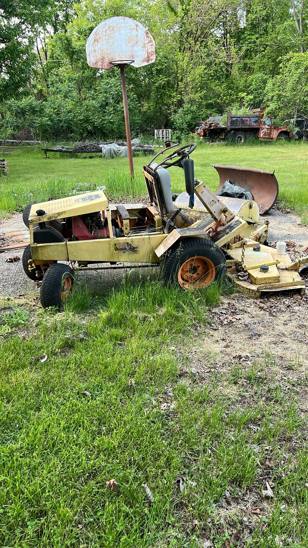One Mean Cat (make Offer)
