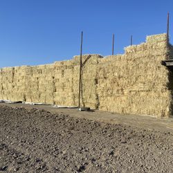 Wheat Hay Premium Horse Hay Heavy Bales 