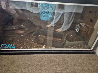 Reptile Terrarium