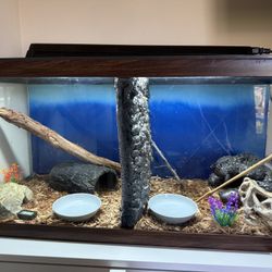 F and M Crested Tank 