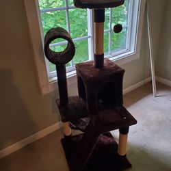 cat house