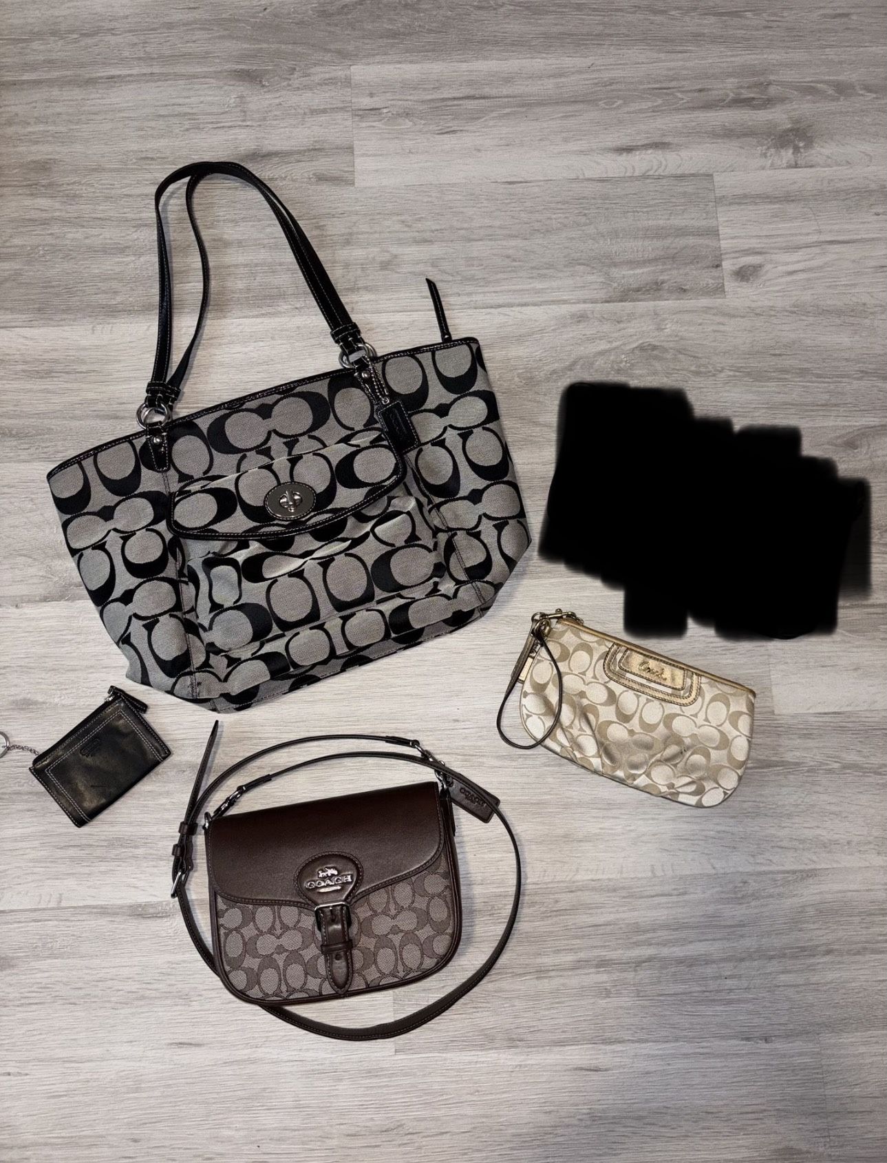 Coach Bag Bundle