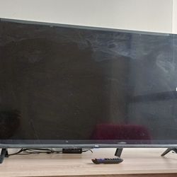 TCL 43 inch Roku smart tv. Just one year old.