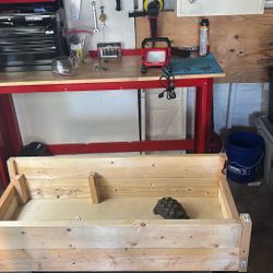 Tortoise Enclosure 