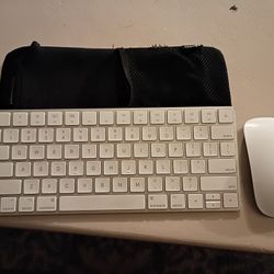 Cordless Mouse N Key Board APPLE + Carrying Case