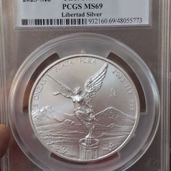 Mexican Coin Silver 