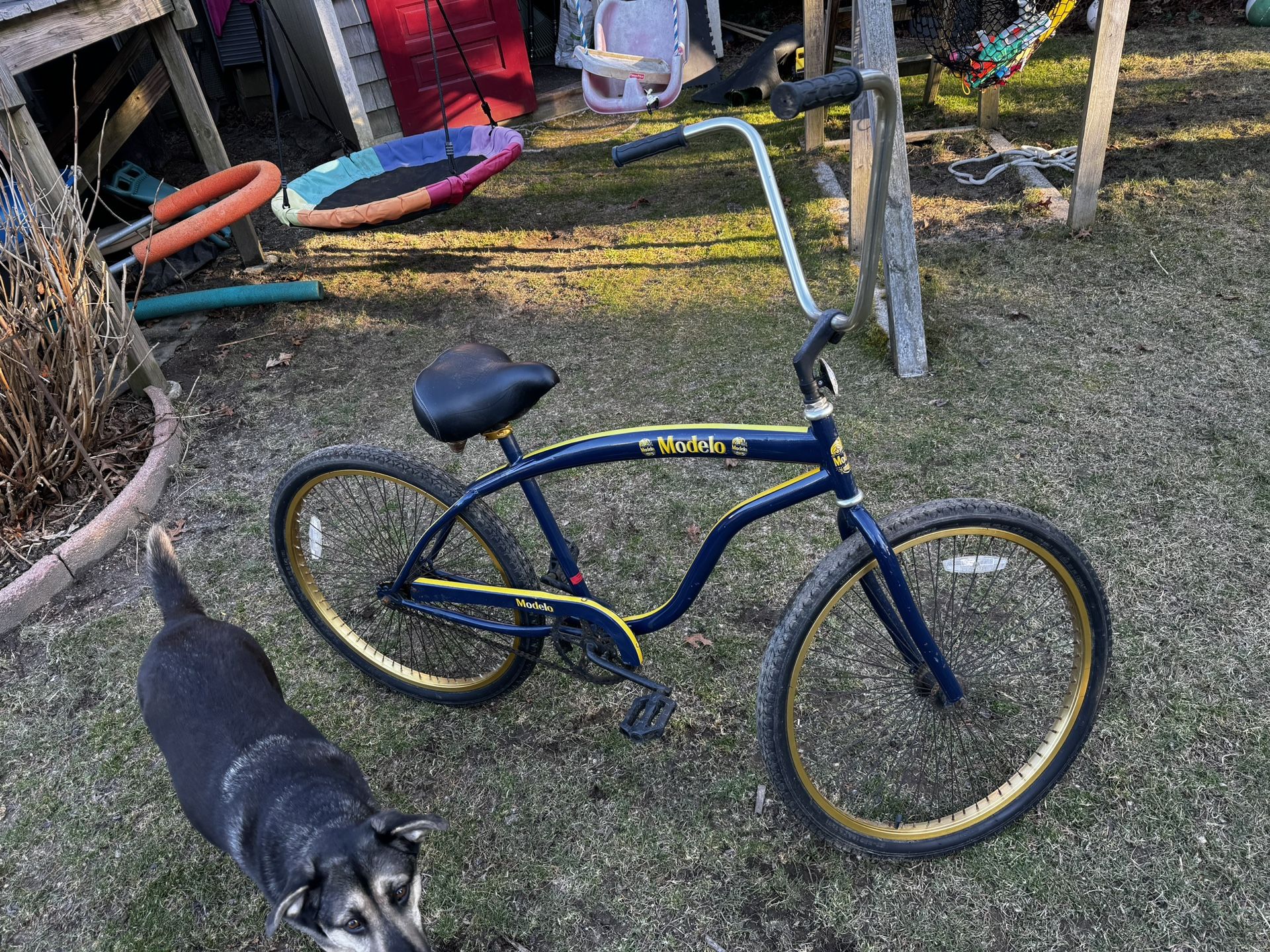 RARE Modelo 26” Bike