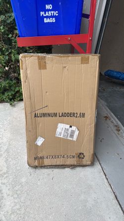 Telescoping ladder