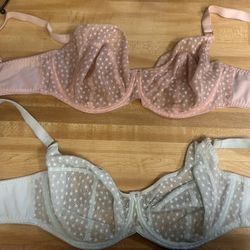 Fantasie Bras