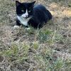 Carlos 