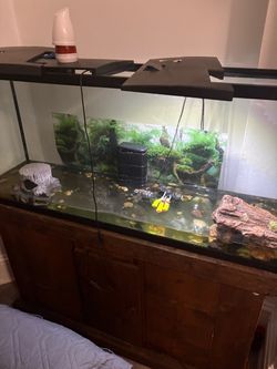 Stand and tank 55 gallon with all accessories