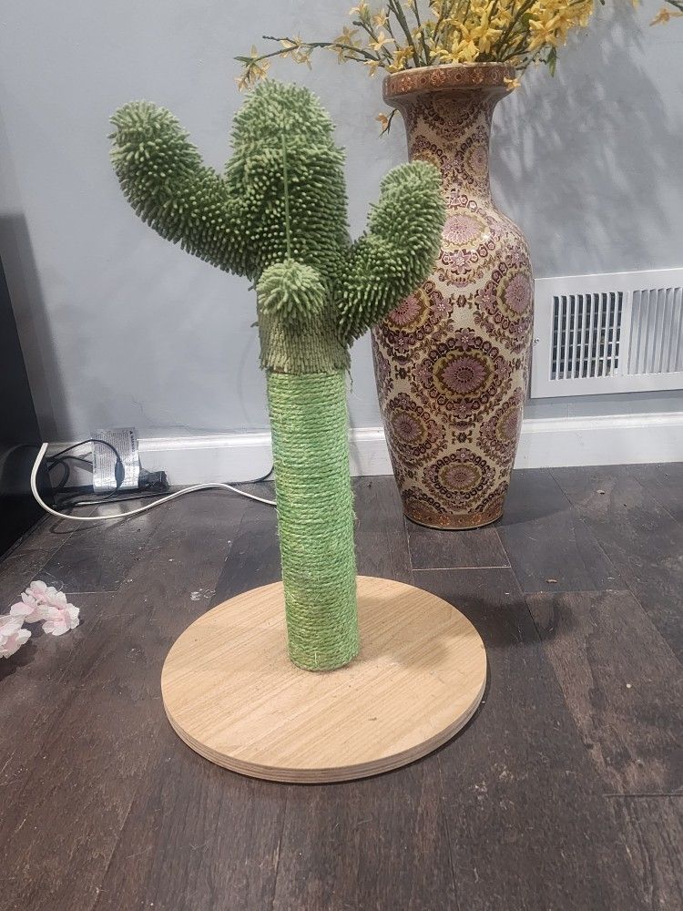Cactus Cat Scratcher