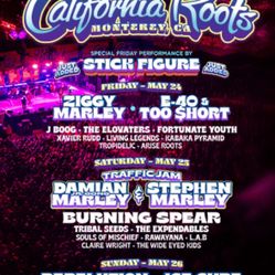 2 3 Day Passes To Cali Roots