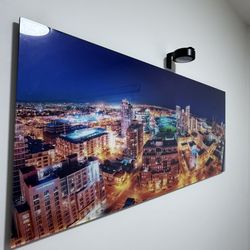 Wall Art of Petco and Downtown San Diego