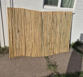 Bamboo Barrier