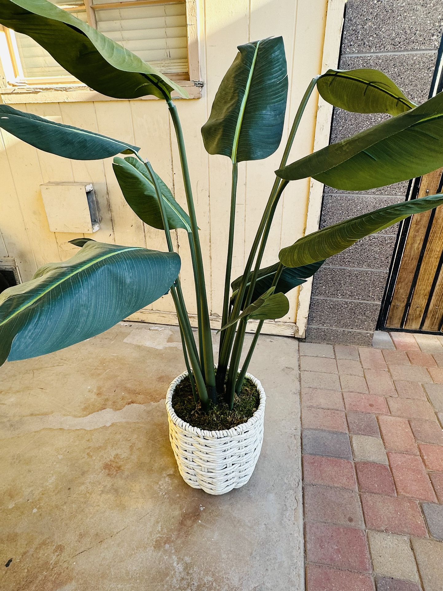 PARADISE BIRD ARTIFICIAL PLANT BEATIFUL PERFECT CONDITION EXELENTE